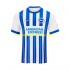Camiseta de Fútbol Brighton & Hove Albion Hombre Casa 2024-2025 Manga Corta