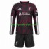 Camiseta de Fútbol Liverpool Niño Tercera 2026-2027 Manga Larga