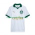 Camiseta de Fútbol Palmeiras Hombre Exterior 2024 Manga Corta