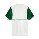 Camiseta de Fútbol Palmeiras Hombre Exterior 2025 Manga Corta