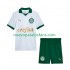 Camiseta de Fútbol Palmeiras Niño Exterior 2024 Manga Corta