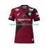 Camiseta de Fútbol Vissel Kobe Hombre Casa 2025 Manga Corta