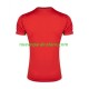 Camiseta de Fútbol Irán Hombre Exterior 2026 Manga Corta