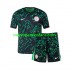 Camiseta de Fútbol Nigeria Niño Exterior 2024 Manga Corta
