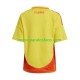 Camiseta de Fútbol Colombia Copa America Hombre Casa 2024 Manga Corta