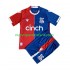 Camiseta de Fútbol Crystal Palace Niño Casa 2023-2024 Manga Corta