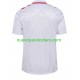 Camiseta de Fútbol Dinamarca Hombre Exterior Euro 2024 Manga Corta