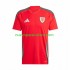 Camiseta de Fútbol Gales Hombre Casa 2024 Manga Corta