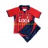 Camiseta de Fútbol Kashima Antlers Niño Casa 2023 Manga Corta