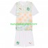 Camiseta de Fútbol Costa De Marfil Niño Exterior Copa Mundial 2026 Manga Corta