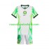 Camiseta de Fútbol Nigeria Niño Exterior 2026 Manga Corta