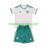 Camiseta de Fútbol Irlanda Del Norte Niño Exterior 2026 Manga Corta