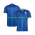 Camiseta de Fútbol Suecia Hombre Exterior Copa Mundial 2026 Manga Corta