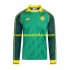 Camiseta de Fútbol Celtic Special Hombre Casa 2024 Manga Larga