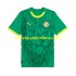 Camiseta de Fútbol Senegal Hombre Exterior 2025 Manga Corta