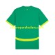 Camiseta de Fútbol Senegal Hombre Exterior 2025 Manga Corta