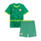 Camiseta de Fútbol Senegal Niño Exterior 2025 Manga Corta