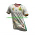 Camiseta de Fútbol Camerún Hombre Exterior 2026 Manga Corta