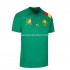 Camiseta de Fútbol Camerún Casa Copa Mundial 2022 Manga Corta