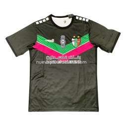 Camiseta de Fútbol Club Deportivo Palestino Exterior 2022-2023 Manga Corta
