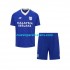 Camiseta de Fútbol Cardiff City Niño Casa 2022-2023 Manga Corta