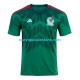 Camiseta de Fútbol México Hombre Casa Copa Mundial 2022 Manga Corta