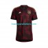 Camiseta de Fútbol Alemania Hombre Exterior Copa Mundial 2022 Manga Corta