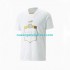 Camiseta de Fútbol Serbia Hombre Exterior Copa Mundial 2022 Manga Corta