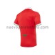 Camiseta de Fútbol Gales Rugby Casa 2020-2021 Manga Corta